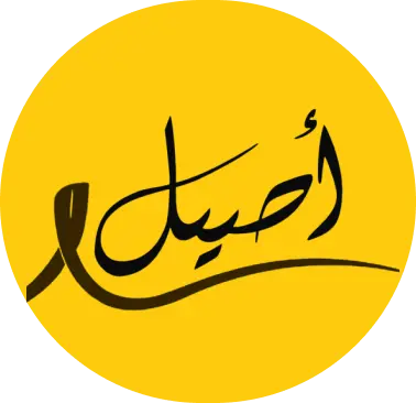 aseel icon
