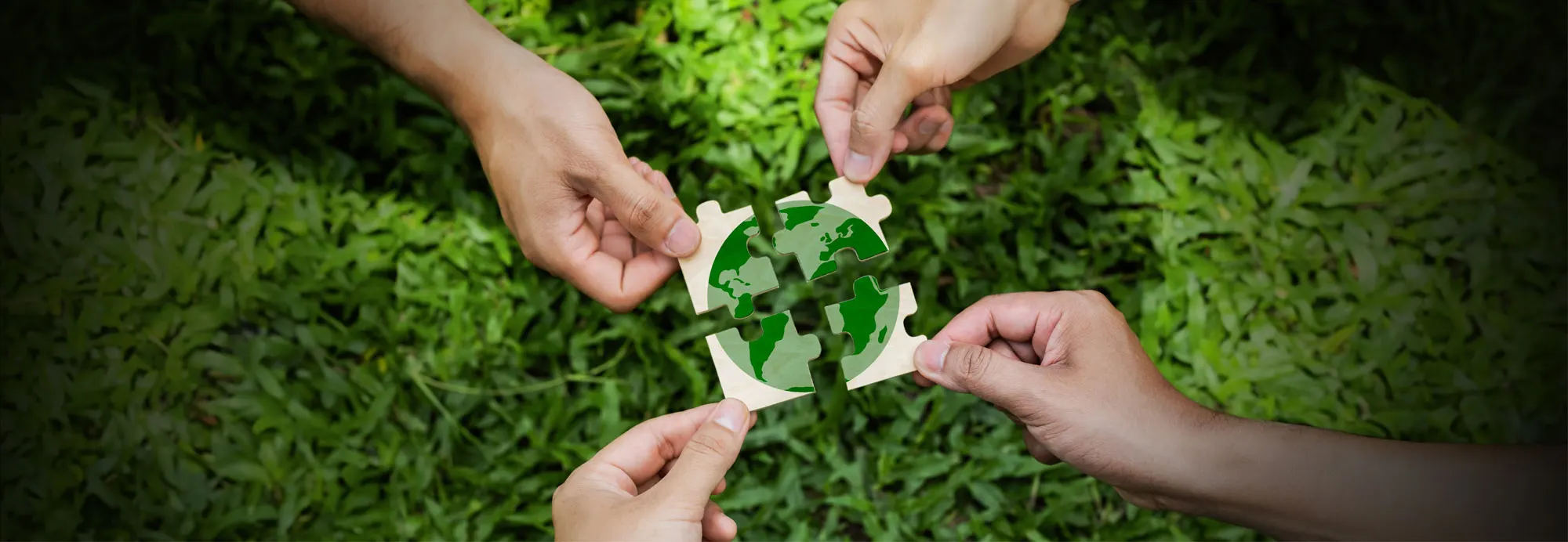 enviromental-group