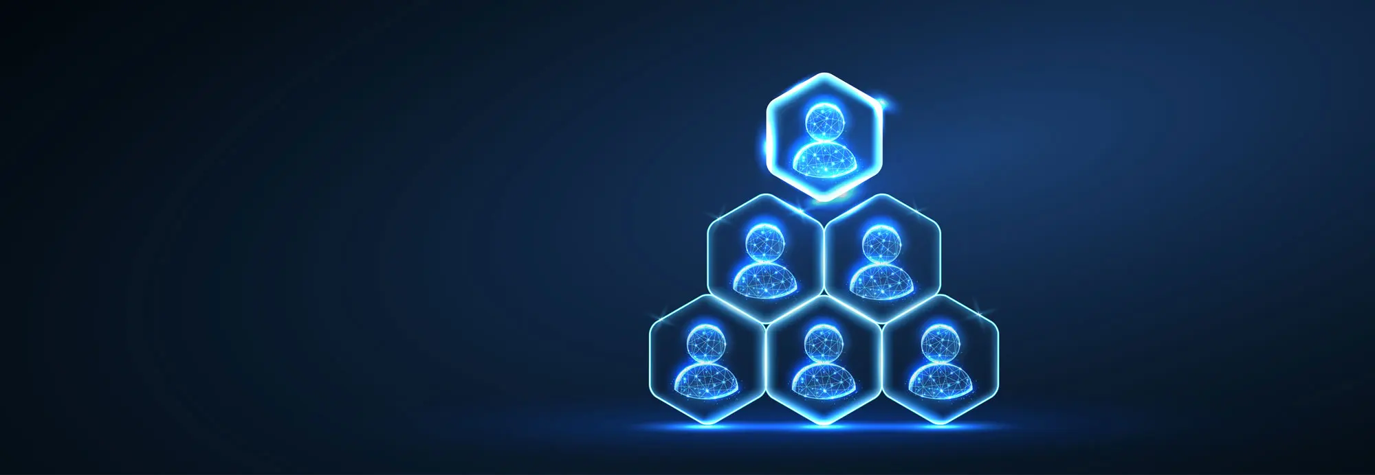 management-team